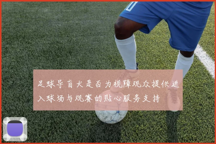 足球导盲犬是否为视障观众提供进入球场与观赛的贴心服务支持